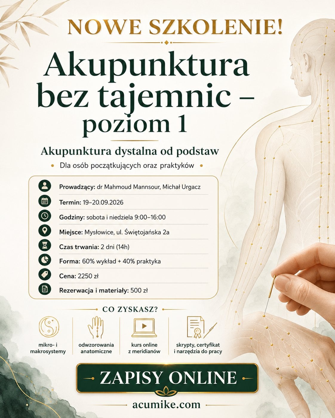 Image for event: Akupunktura bez tajemnic – poziom 1. Akupunktur